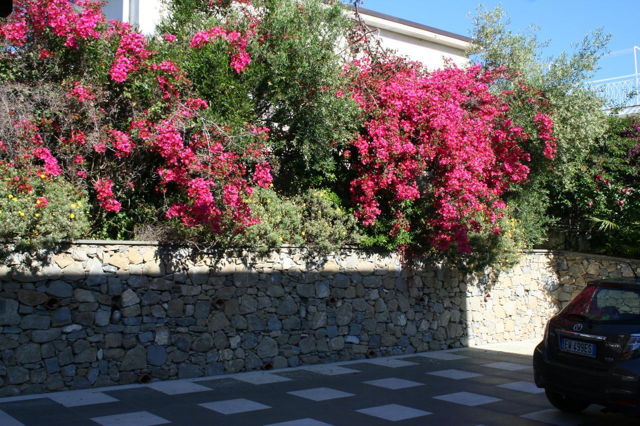 أرما دي تاجيا La Dolce Vita المظهر الخارجي الصورة
