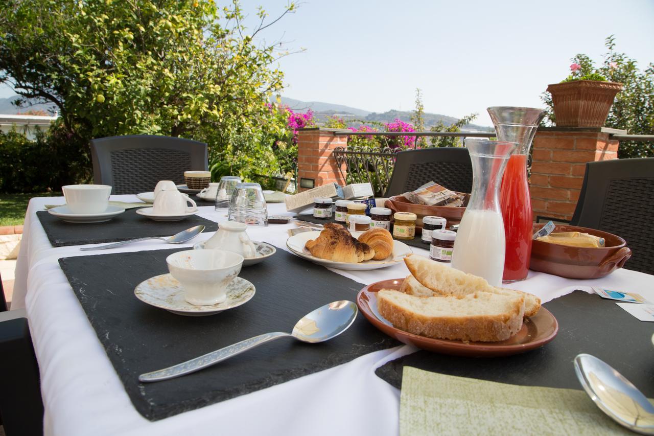 أرما دي تاجيا La Dolce Vita المظهر الخارجي الصورة